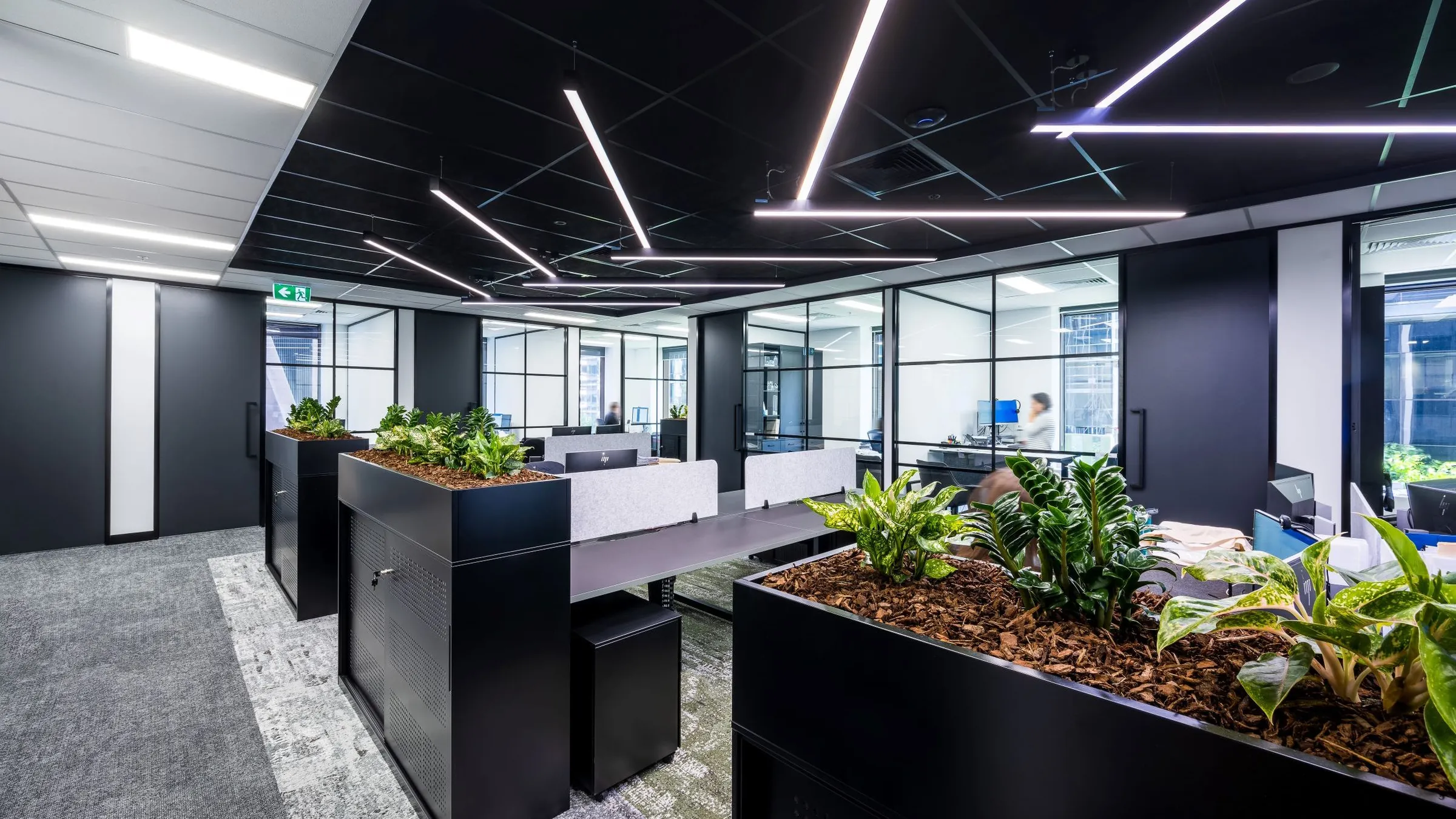 Workstations divided by black planter joinery under linear ceiling lights